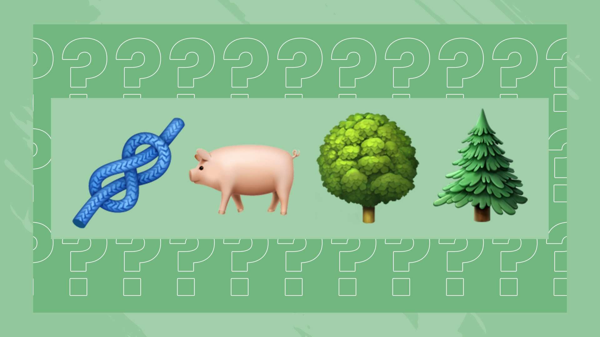 面展开了全 面展开了全